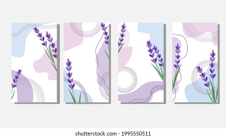 Set of backgrounds with lavender. Abstract template with spots and flowers. Vector illustration isolated on white background. For the use and design of social networks, cards and invitations, covers