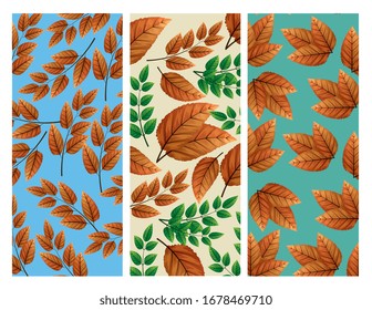 conjunto de fondos de hojas de otoño natura ilustración vectorial diseño