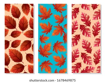 set of backgrounds of leafs naturals vector illustration design