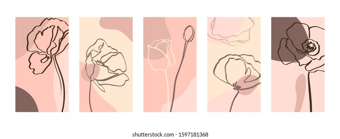 Set Backgrounds with one line poppy flowers . 