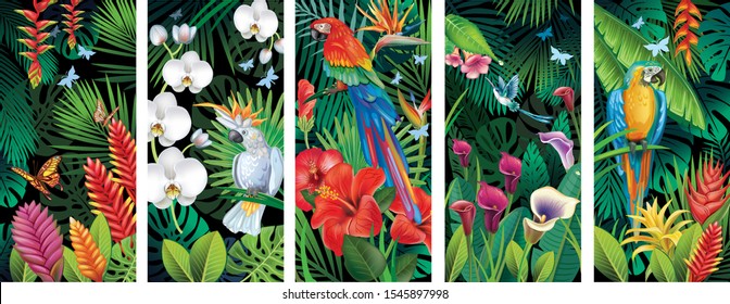 Set of Backgrounds with tropical jungle plants and birds. 
