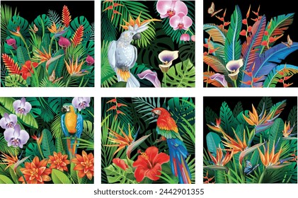 Set of Backgrounds with tropical jungle plants 