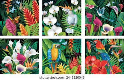 Set of Backgrounds with tropical jungle plants on black background