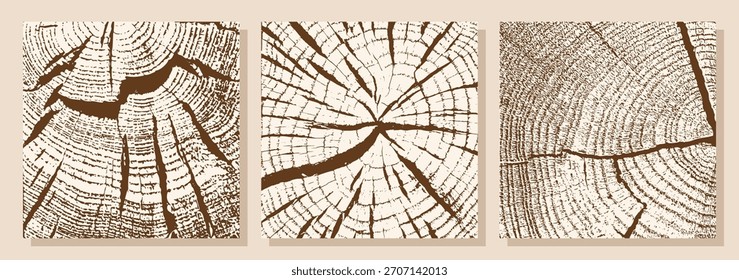 Conjunto de fondos con textura de madera. Anillos de crecimiento y grietas en una sección transversal de un árbol. Ilustración vectorial.