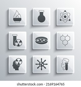 Set Bacteria, Chemical explosion, formula, Petri dish with bacteria, Head and radiation symbol, Test tube, Alcohol spirit burner and Atom icon. Vector