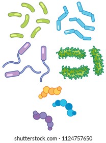 Un conjunto de ilustraciones bacterianas