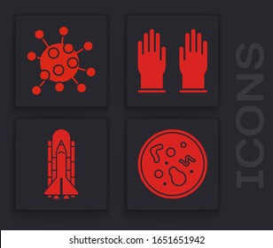 Setzen Sie Bakterien, Bakterien, Gummihandschuhe und Space Shuttle und Raketen Symbol. Vektorillustration