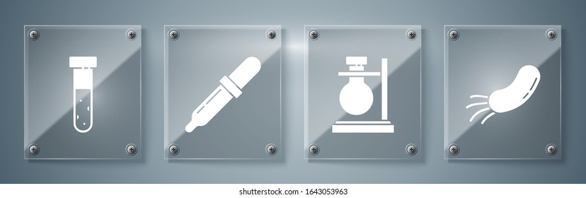 Set Bacteria, Test tube flask on stand, Pipette and Test tube and flask chemical. Square glass panels. Vector