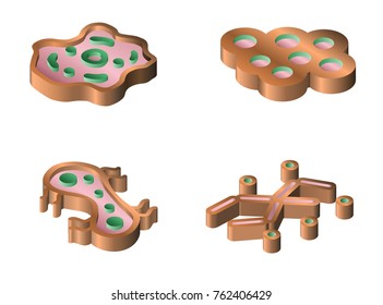 Set of bacteria virus and germ isometric icons. Icons of harmful bacteria, fungus, microbe and other vermin. Vector illustration.
