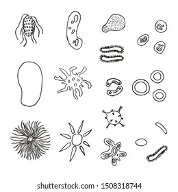 A set of bacteria and viruses. Vector illustration. Medical laboratory.