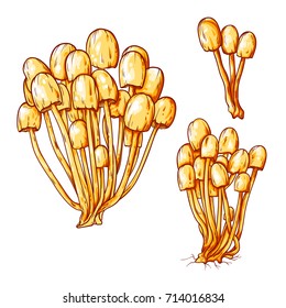 Set of bad mushrooms, vector illustration isolated on white background, hand drawn art, sketch art, line art style