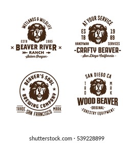 Set of badges labels logo design element. Beaver icon. Collection of quality vintage emblems for various businesses. Premium retro vintage americana style graphic symbols. Beaver Vector illustration.