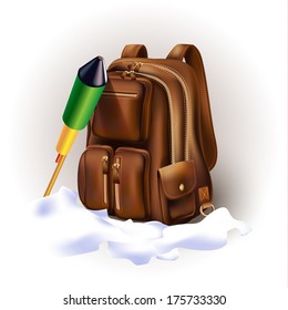 Set of a bag and a firework, isolated on white background. Vector illustration.