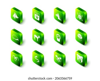 Set Bag of food, Horse head, Turtle, Jellyfish, Bear, Paw print, Rat and Snake icon. Vector