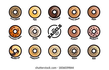 Set of bagels with different toppings. Top view vector illustration. Popular bread for sandwiches. Colorful flat icons for bakery, cafe and restaurant menu.