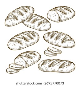 Set of baguette bread hand drawn illustration. Baguette bread vector line art collection