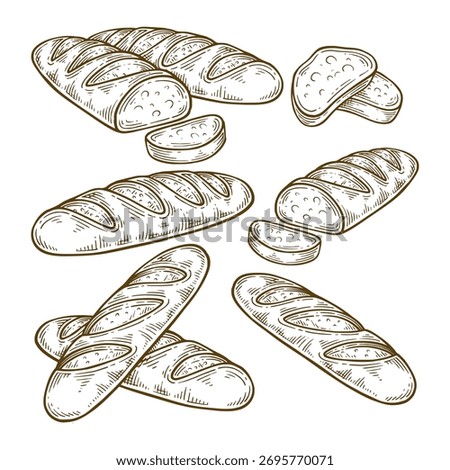 Set of baguette bread hand drawn illustration. Baguette bread vector line art collection