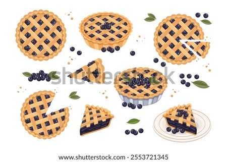 Set of baked blueberry pie, pie pieces and blueberries. Food, dessert, sweet. Flat illustration, sweet snack icons