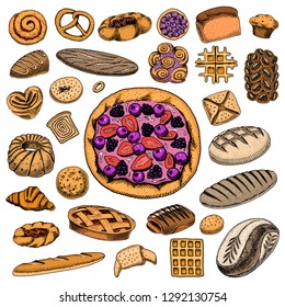 Set of Bakery and pastry products. Bread and pie, buns and cakes. Pastry. Engraved hand drawn vintage style. Doodles for menu. Color food. Collection of Elements.