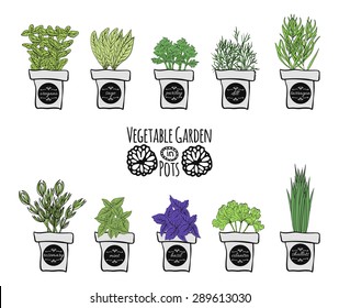 A set of balcony spice as a design element on a white background. Vector illustration