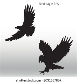 set of bald eagle silhouette, line isolated or logo isolated sign symbol vector, outline and stroke style Collection of high-quality vector illustration,