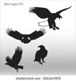 set of bald eagle silhouette, line isolated or logo isolated sign symbol vector, outline and stroke style Collection of high-quality vector illustration,
