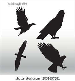 set of bald eagle silhouette, line isolated or logo isolated sign symbol vector, outline and stroke style Collection of high-quality vector illustration,