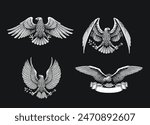 Set of Bald Eagle Vector Illustration