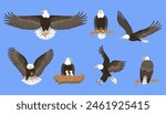 A set of bald eagles. Vector illustrations on a blue background: a flying eagle, an eagle on a branch, a nest with chicks. Icons for bird watching, nature and ornithology themes.