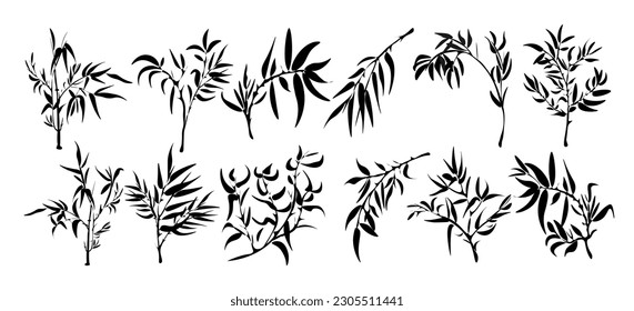 A Set Of Bamboo Branches With A Bamboo Silhouette. A blade of grass, a branch, plants of Asia.