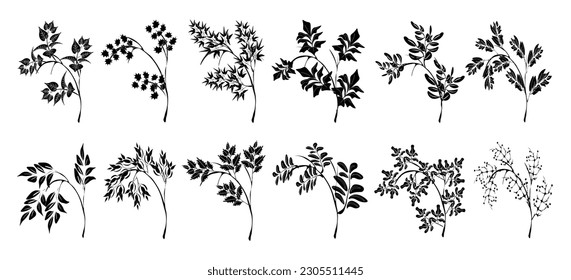 A Set Of Bamboo Branches With A Bamboo Silhouette. A blade of grass, a branch, plants of Asia.