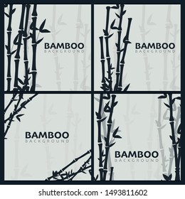 Set of Bamboo forest backgrounds. Nature of Japan or China
