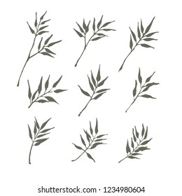 set of bamboo leaf design for summer holiday, vector illustration.