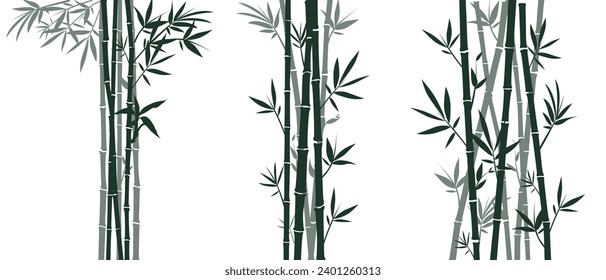 Set of bamboo silhouettes on white background. Bamboo Japanese drawing style. Stems, branches and leaves of bamboo. Vector illustration.