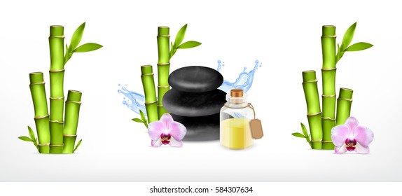 Set of bamboo. Spa concept. Spa stone with bamboo, orchid and essential oil jar. Vector icons. EPS10