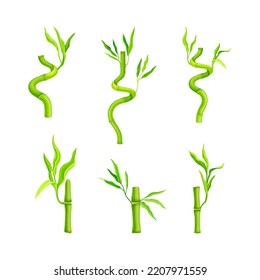 Set of bamboo sticks with leaves. Green decoration elements cartoon vector illustration