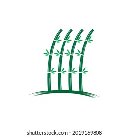 Diseño vectorial del logotipo del árbol de bambú