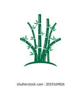 Set of  Bamboo tree logo ilustration vector design