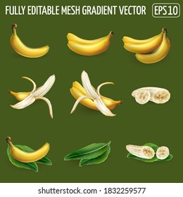 Conjunto de composiciones bananeras sobre un fondo verde oscuro.