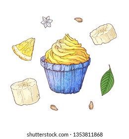 Set of banana cupcake. Hand drawing Vector illustration.