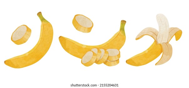 Set of Banana Design elements. watercolour style vector illustration.
