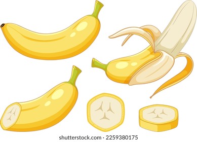 Set of banana fruit cartoon illustration