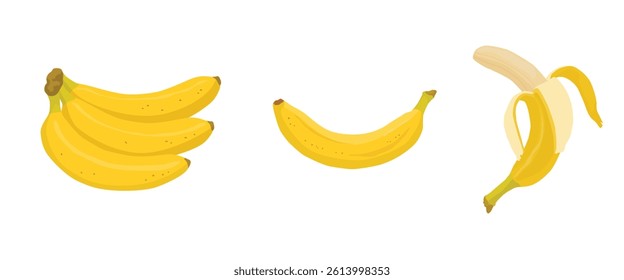Set of banana fruit with peeled and bunch banana