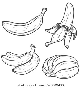 Set of banana icons isolated on white background. Design elements for logo, label, emblem, sign, poster. Vector illustration.