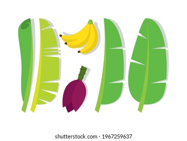 set of banana plants icon vector