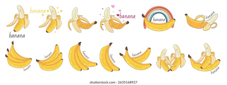 Definir ilustração de vetor de estoque de esboço de banana. Banana com uma baga, sem casca, 
 branch, bando. Imagem desenhada à mão. 
Contorno do desenho em um fundo branco.
