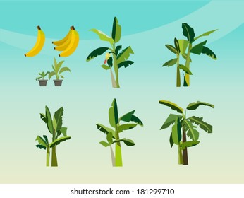 set of banana tree - icon vector