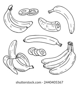 Bananensatz und Banane. Sammlung von Cartoon-Bananen ganz und in Scheiben isoliert auf einem weißen Hintergrund. Für Druck, Produktdesign, Markt, Logo. Linie, Kontur. Doodle. Vektor