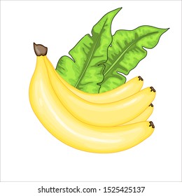 Set with bananas and banana leaves. Summer cartoon collection in vector
