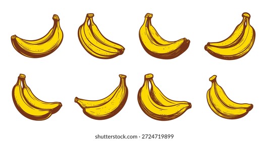 um conjunto de bananas com diferentes tamanhos e formas